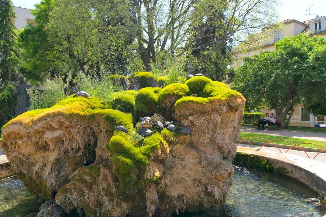 Photo of Others in Sibenik