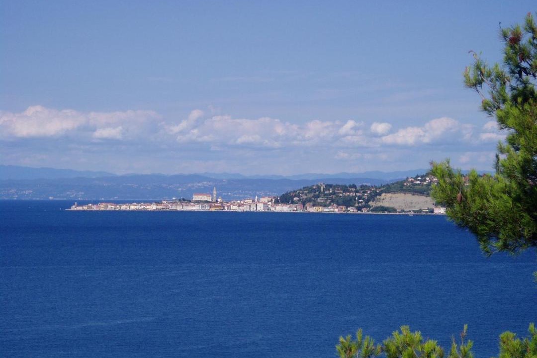 Photo of Others in Crveni Vrh