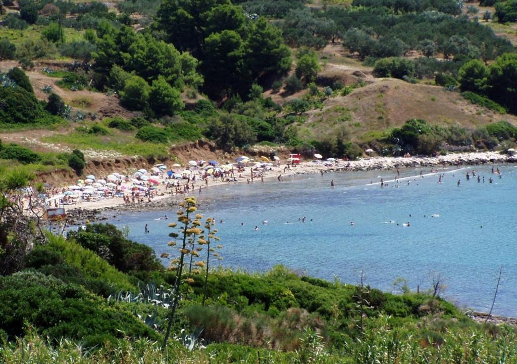 Photo of Outdoor in Lumbarda