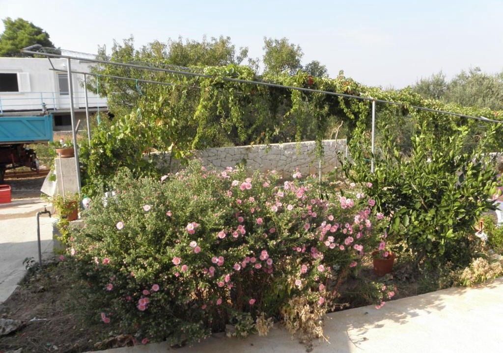Photo of Outdoor in Lumbarda