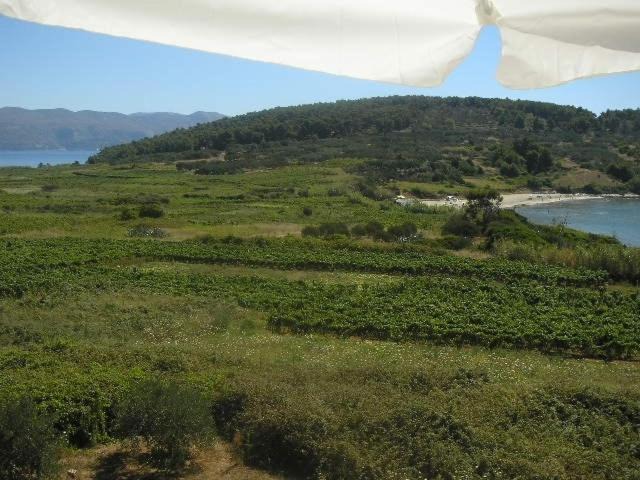 Photo of Outdoor in Lumbarda