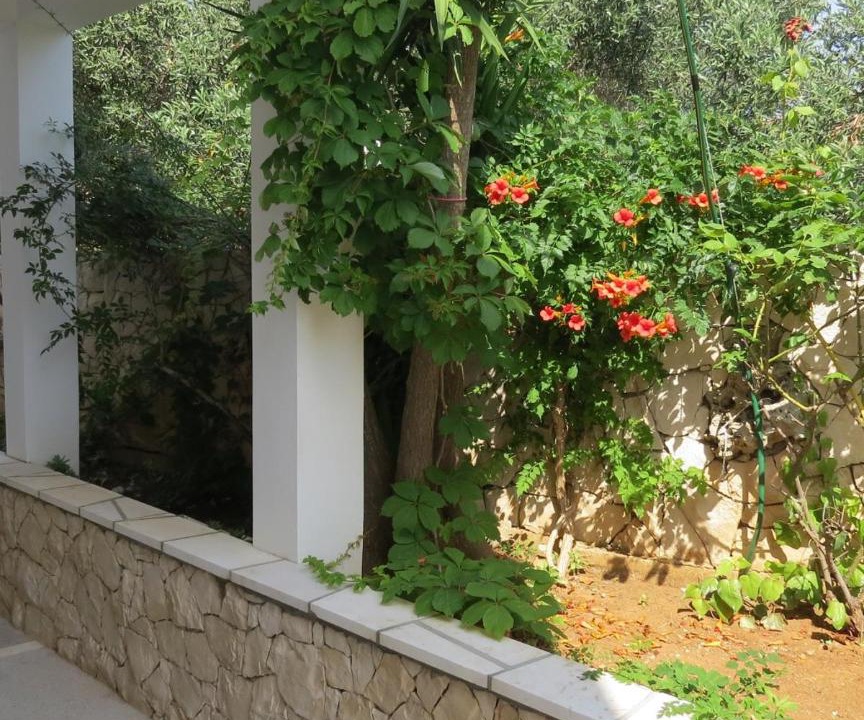 Photo of Others in Lumbarda