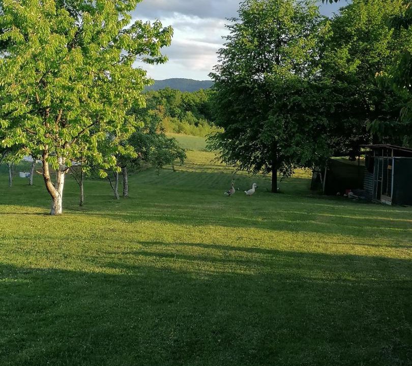 Photo of Outdoor in Dreznik Grad