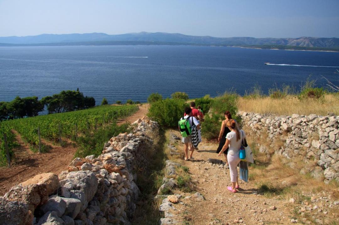 Photo of Others in Murvica