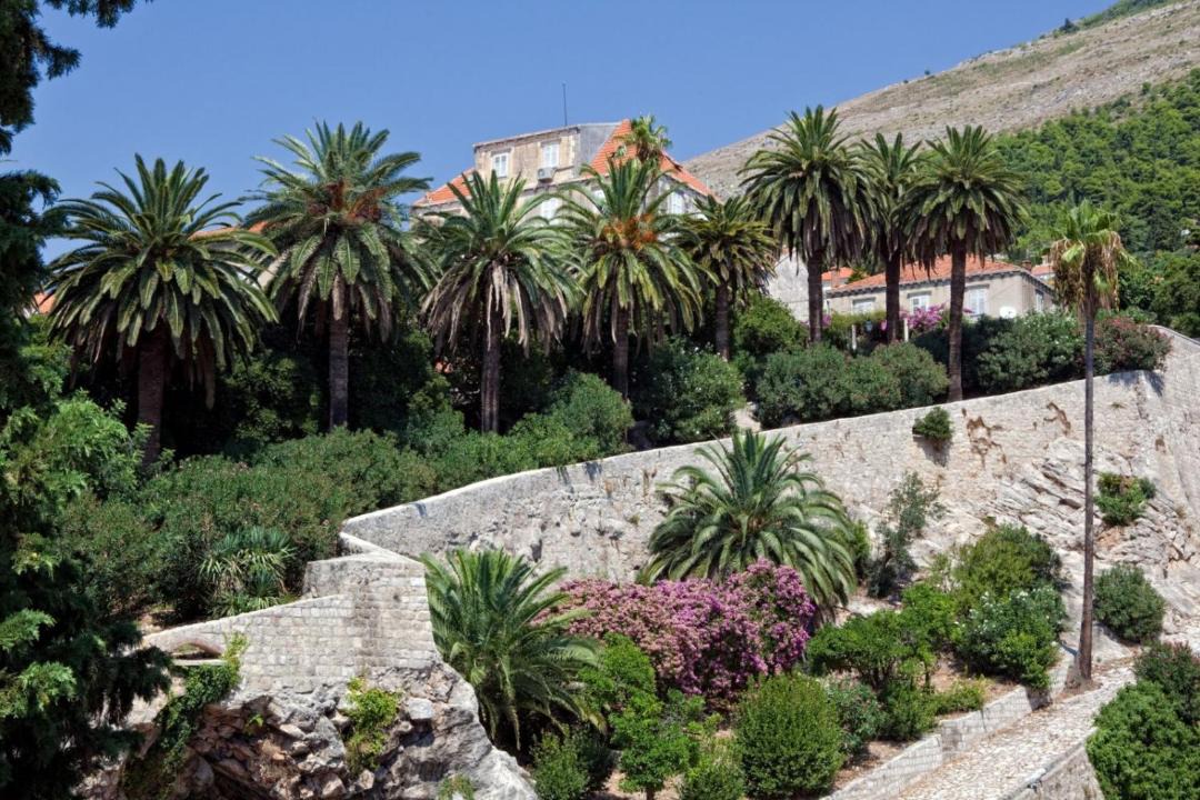 Photo of Others in Ploce