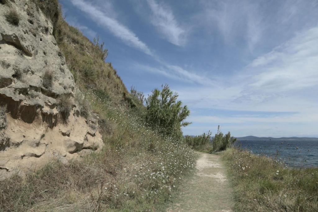 Photo of Others in Gornje selo