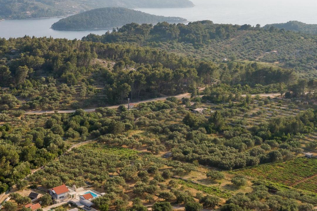 Photo of Others in Vela Luka