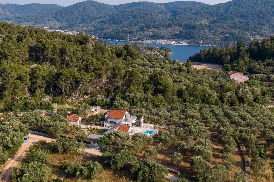 Photo of Others in Vela Luka