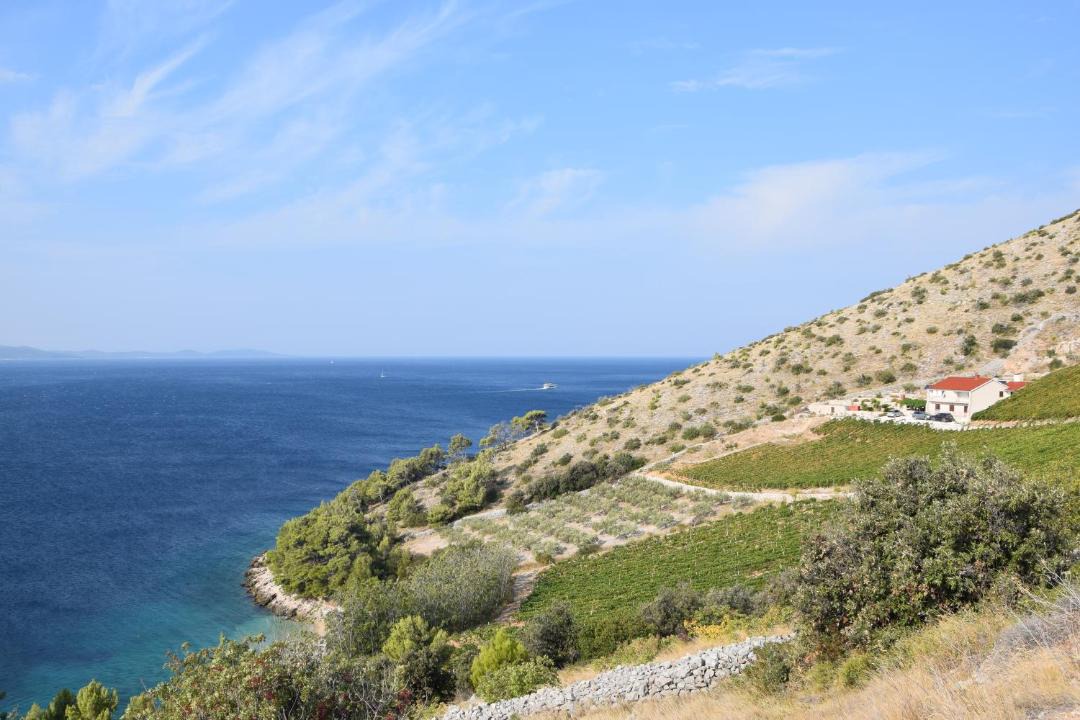 Photo of Others in Nerezise