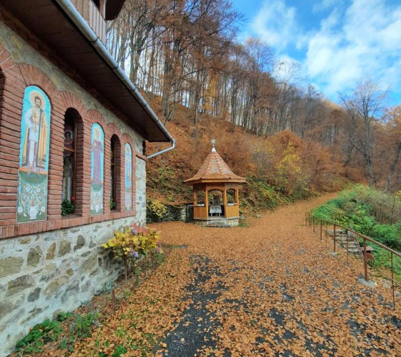 Photo of Others in Sibiu County