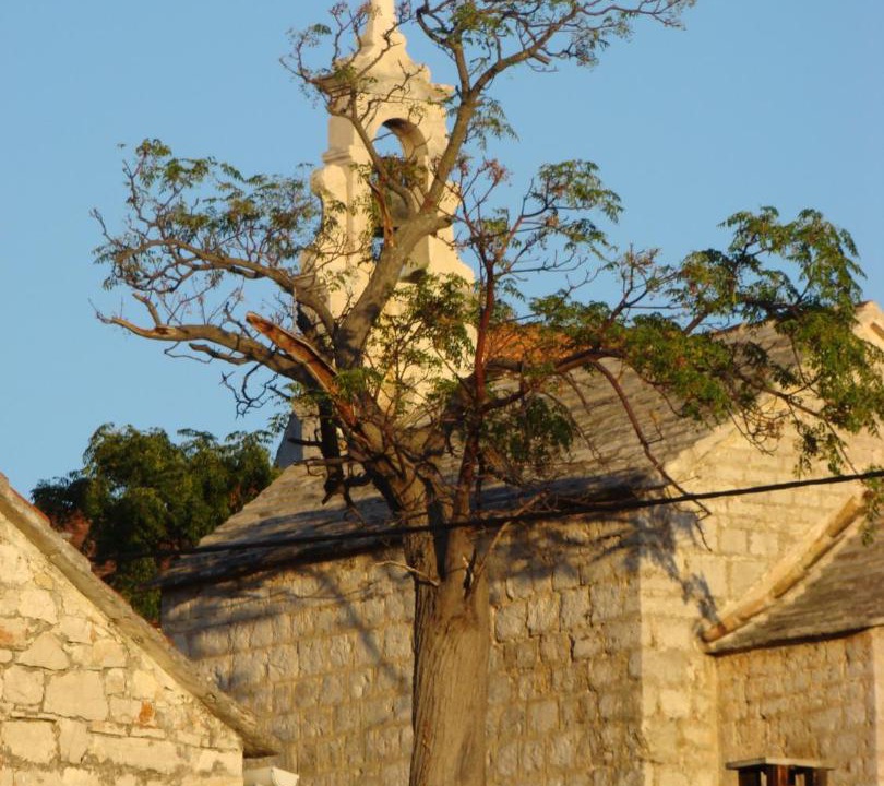 Photo of Others in Vrboska