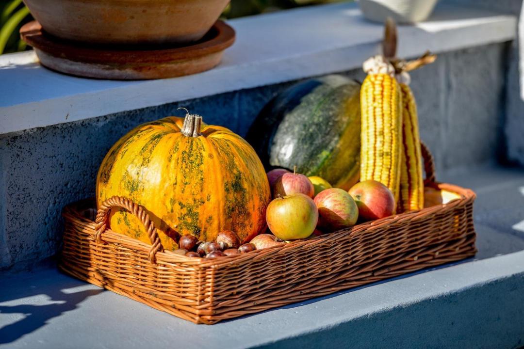 Photo of Others in Ivanec