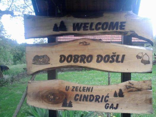 Photo of Others in Ogulin