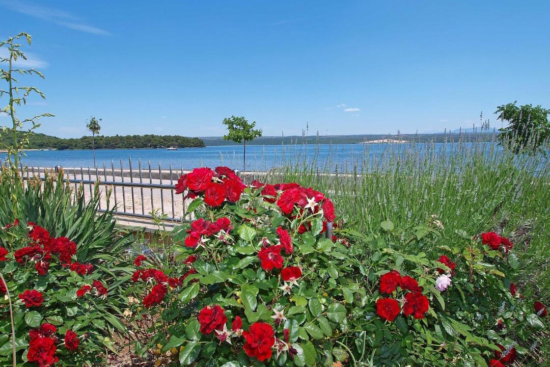 Photo of Outdoor in Raslina