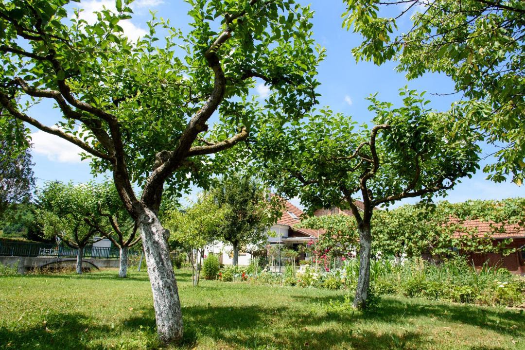 Photo of Others in Sveti Kriz Zacretje