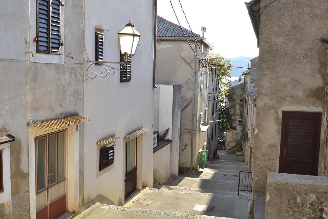 Photo of Others in Ribarica