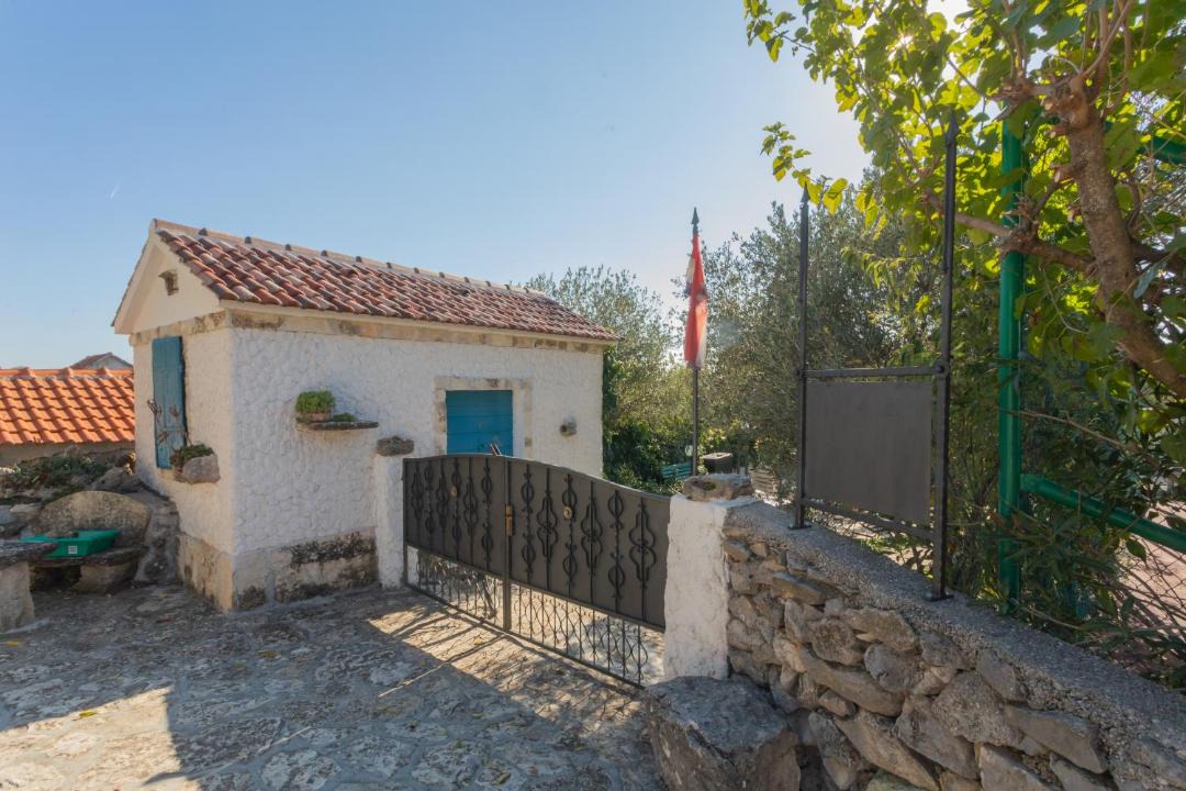 Photo of Others in Bristane