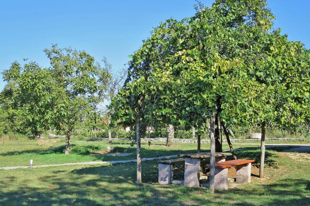 Photo of Others in Laginji
