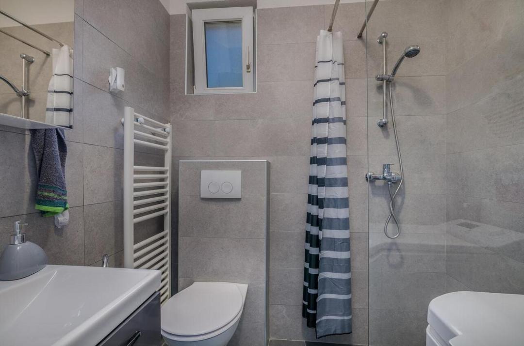 Photo of Bathroom in Milovcici