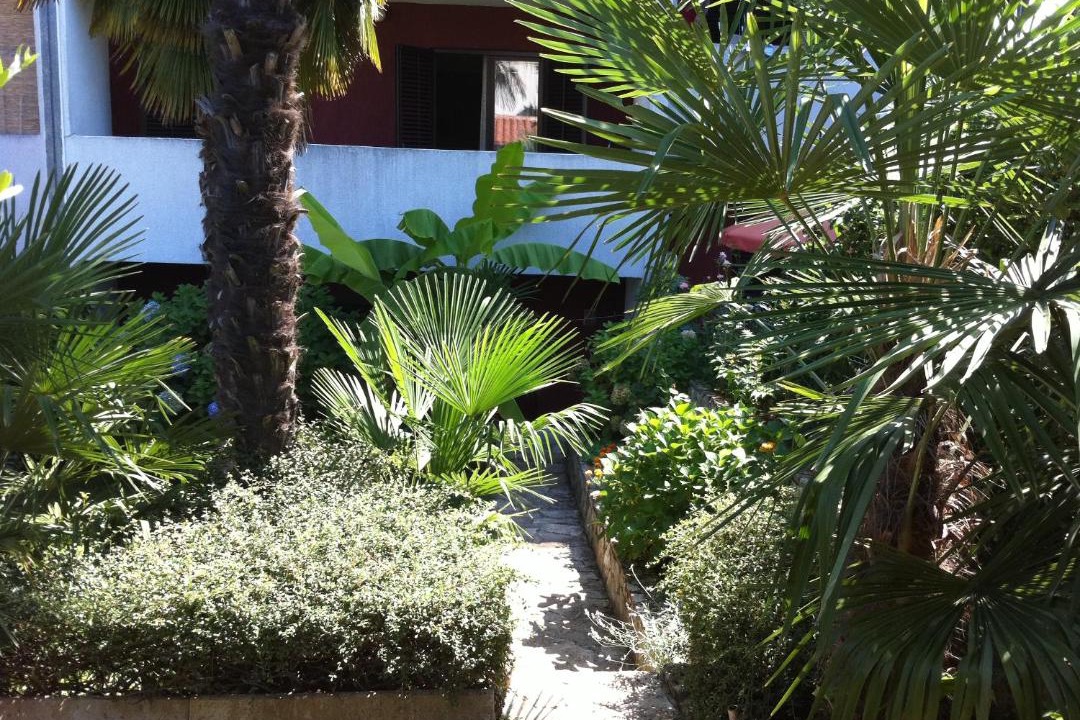Photo of Others in Porec
