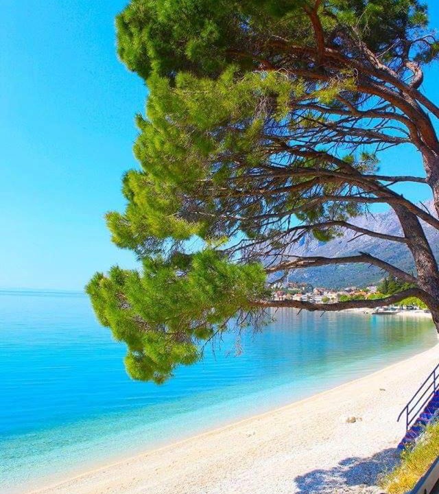 Photo of Others in Gradac