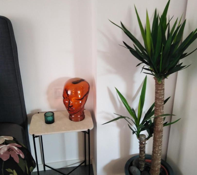 Photo of Livingroom in Zagreb