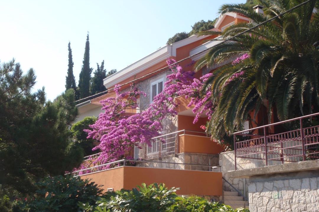 Photo of Buildings in Trpanj
