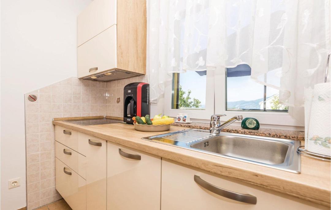Photo of Kitchen in Cikovici