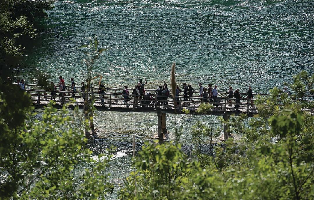 Photo of Others in Jadrtovac