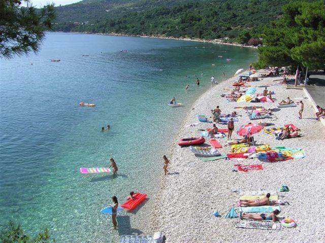 Photo of Others in Zivogosce