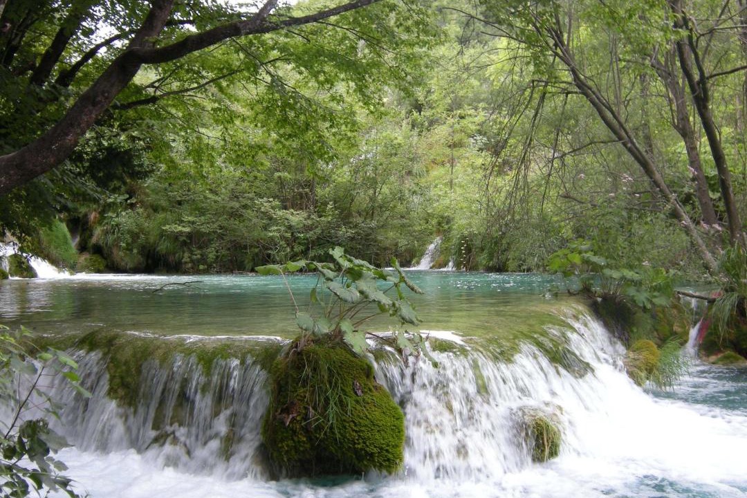 Photo of Others in Grabovac
