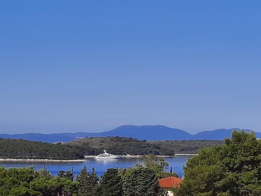 Photo of Others in Hvar