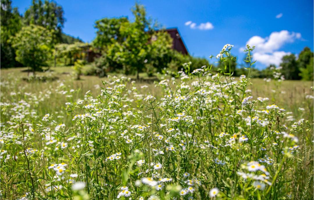 Photo of Outdoor in Rakovica