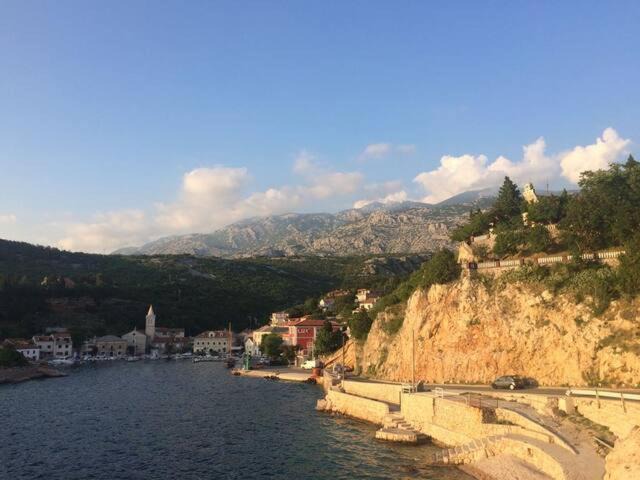 Photo of Others in Stinica