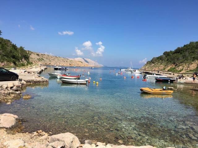 Photo of Others in Stinica