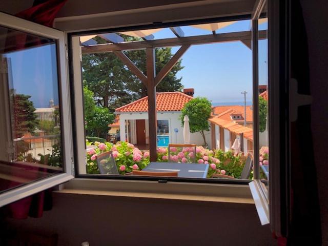 Photo of Others in Ploce