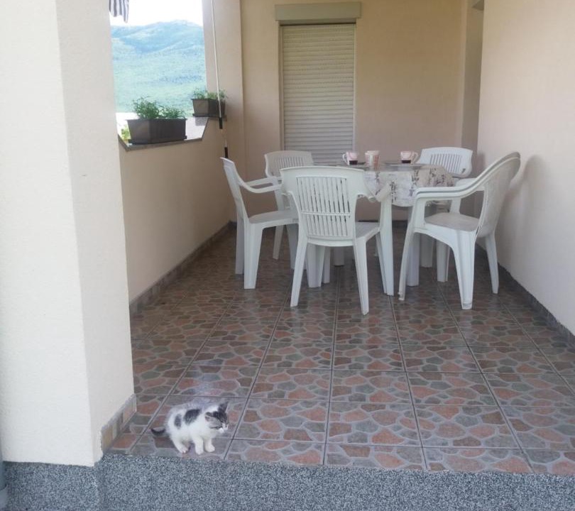 Photo of Others in Korenica