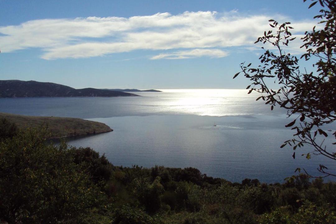 Photo of Others in Ustrine
