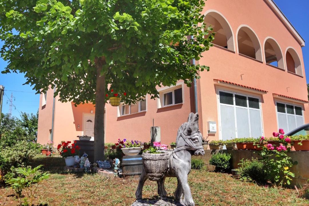 Photo of Buildings in Zadar