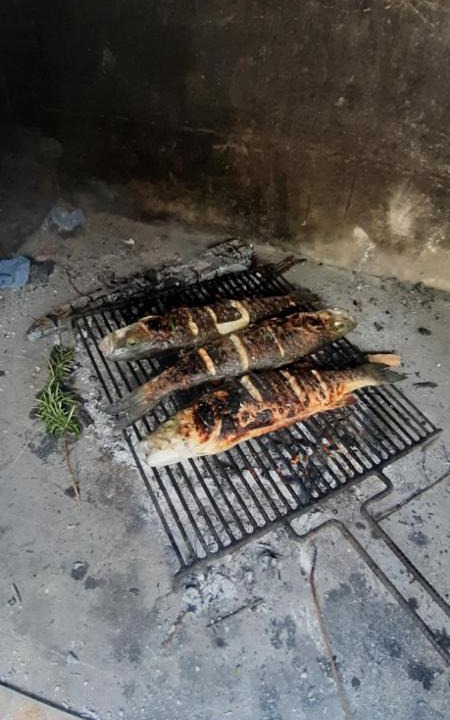 Photo of Others in Trstenik