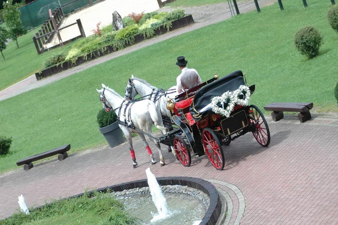 Photo of Others in Zapresic