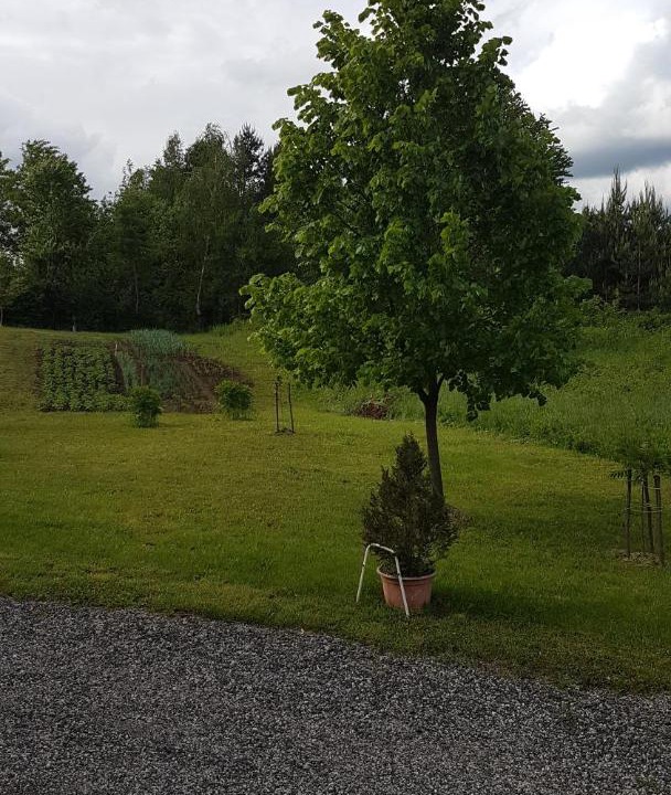 Photo of Others in Grabovac