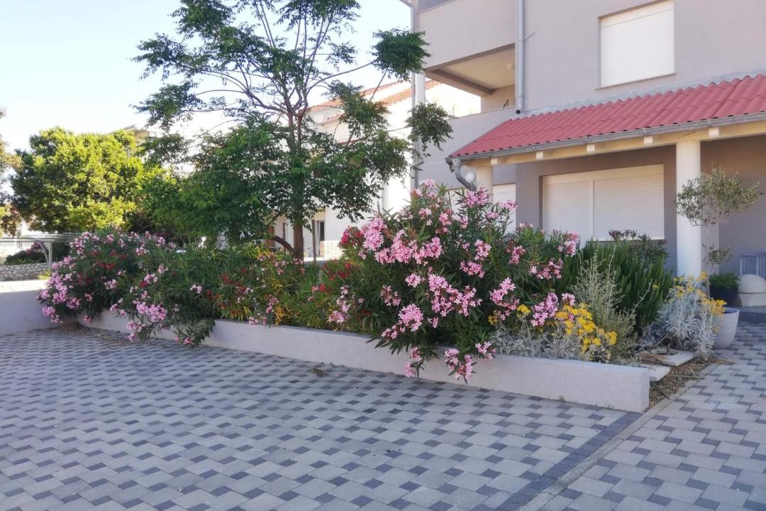 Photo of Others in Pag