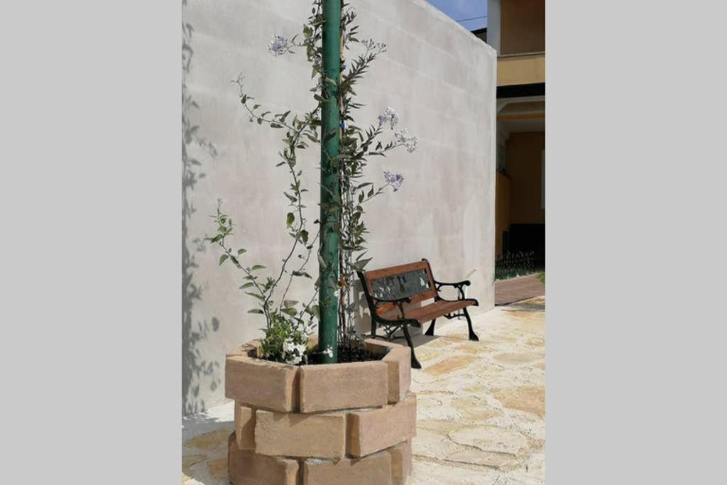 Photo of Livingroom in Valica