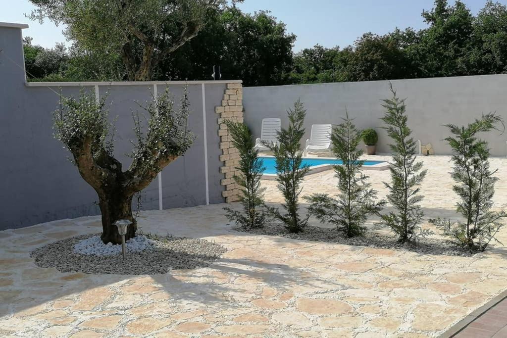 Photo of Others in Valica