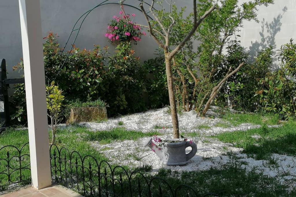 Photo of Others in Valica