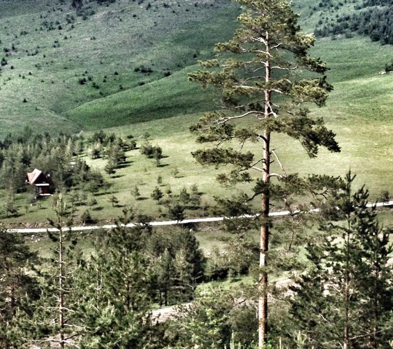Photo of Others in Zlatibor