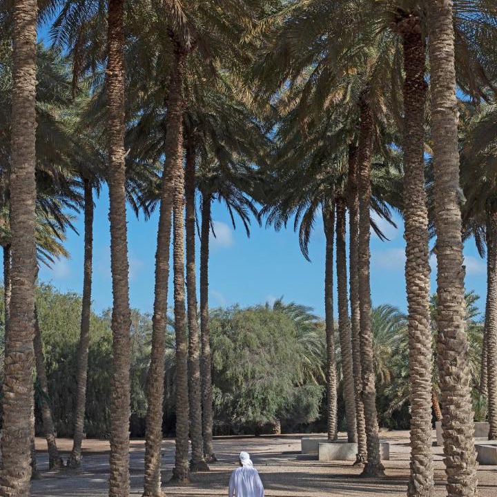 Photo of Others in Sir Bani Yas Island