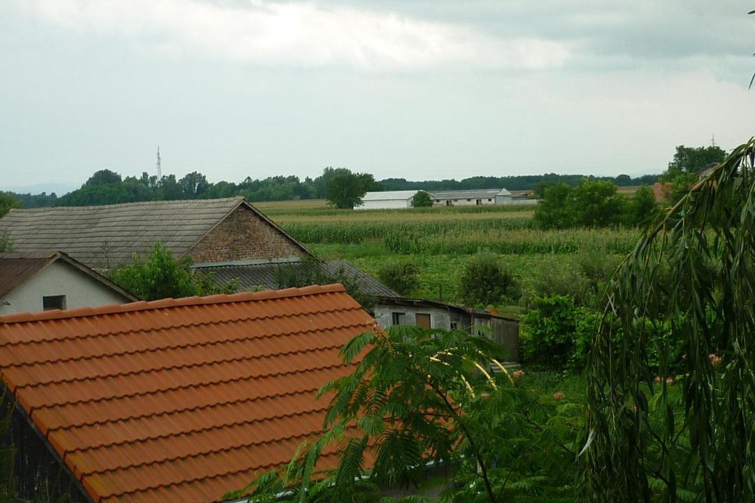 Photo of Buildings in Prelog