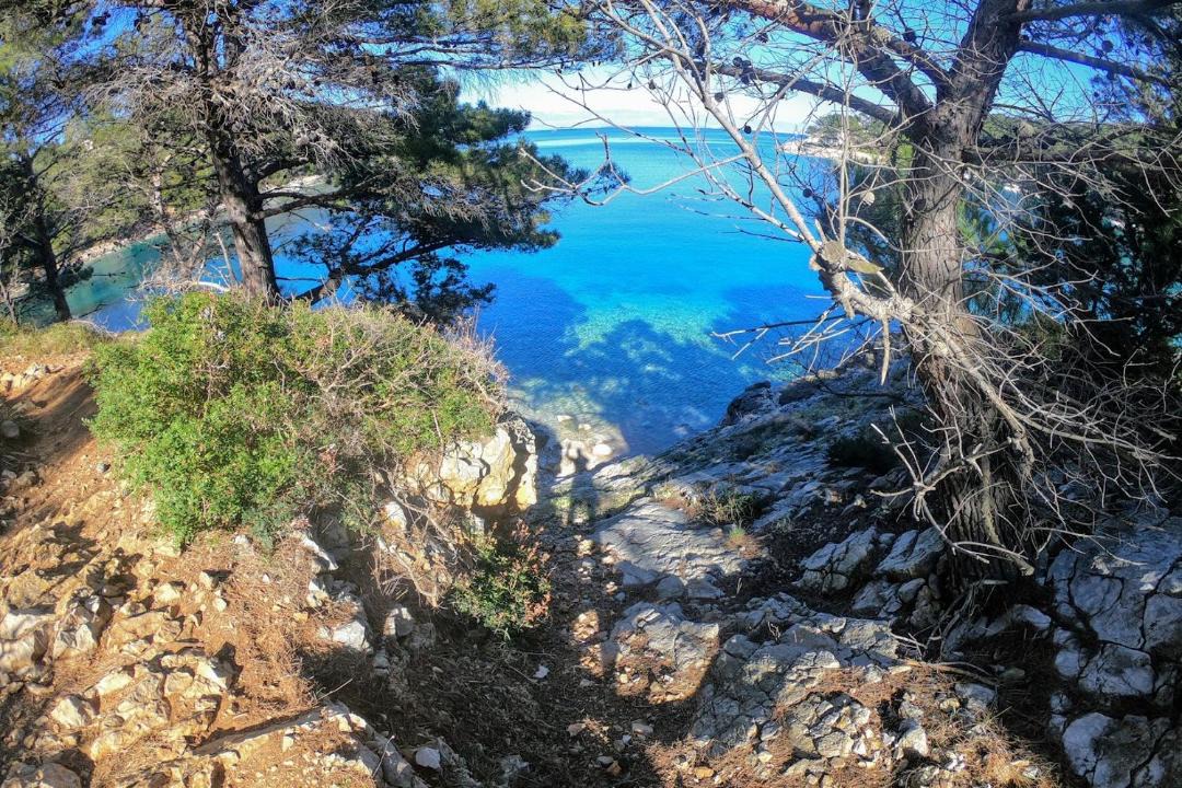 Photo of Others in Veli Losinj